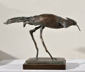 Wasservogel, um 1960